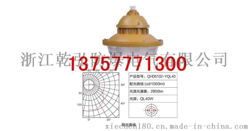 QHD6102-YQL40W免维护节能无极防爆灯