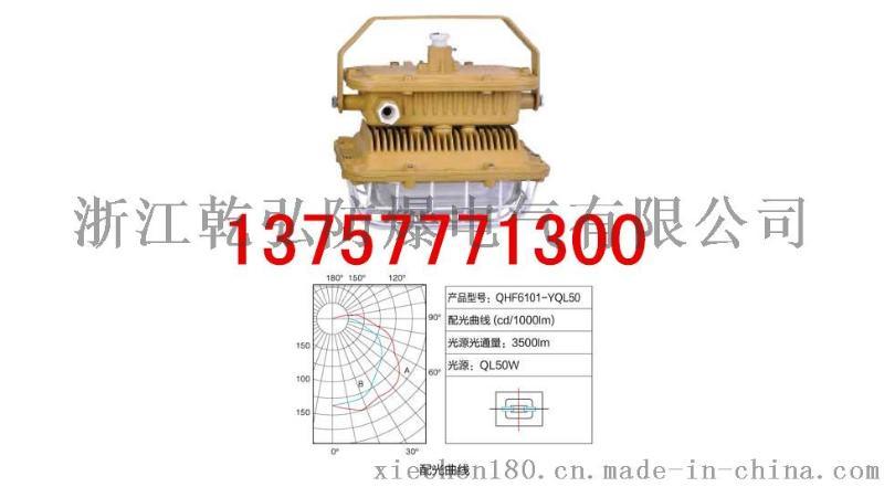 QHF6101-YQL50三防无极防爆灯